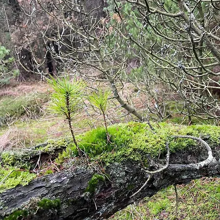 6 Person In Romo-by Traum Apartamento Rømø Kirkeby