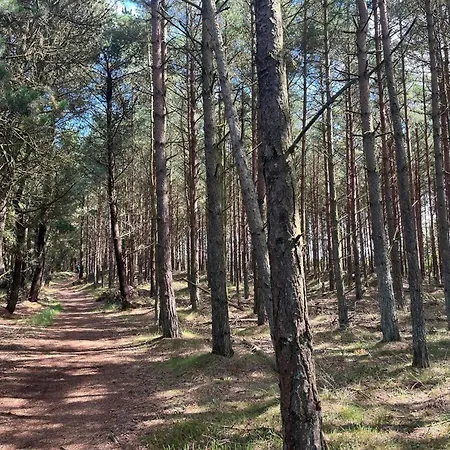 6 Person In Romo-by Traum Apartamento *