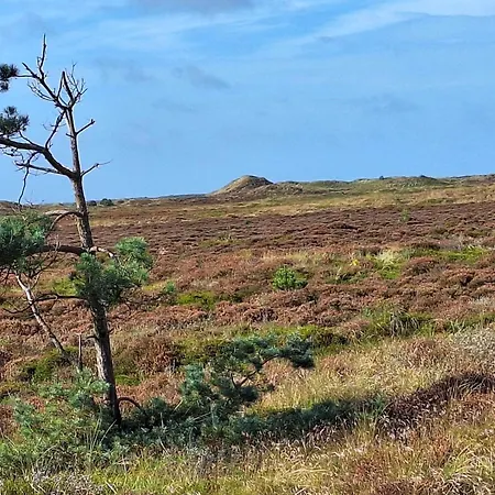 6 Person In Romo-by Traum Apartamento