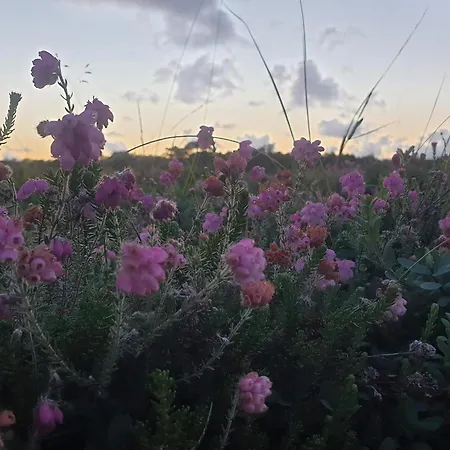 Apartamento 6 Person In Romo-by Traum